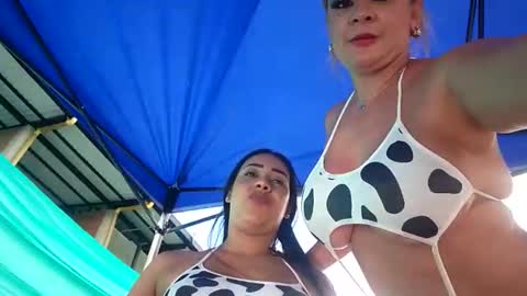 kittens online show from April 16, 2026, 9:39 pm