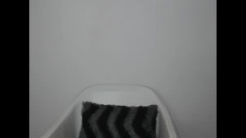 Snapshot of hotjessie0 chatting on January 9, 2025, 4:30 am hotjessie0 online show from January 9, 2025, 4:30 am