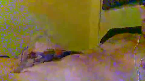 Snapshot of hotjox chatting on March 5, 2026, 6:09 am hotjox online show from March 5, 2026, 6:09 am