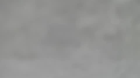 Slutty little female cat online show from January 31, 2025, 5:51 am