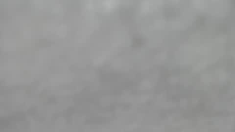 Slutty little female cat online show from October 12, 2025, 4:33 am