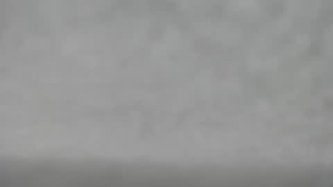 Slutty little female cat online show from October 18, 2025, 4:48 am