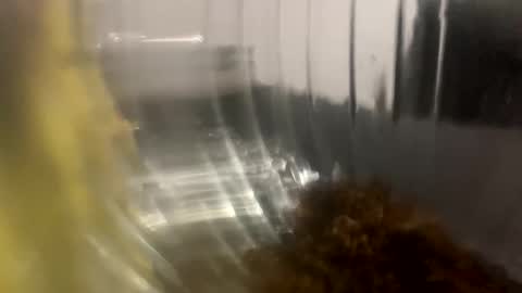 Snapshot of howarudoing chatting on October 5, 2025, 1:59 am howarudoing online show from October 5, 2025, 1:59 am