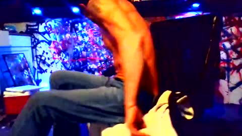 Snapshot of howbowdadareboy33 chatting on February 12, 2025, 12:22 pm ask me online show from February 12, 2025, 12:22 pm