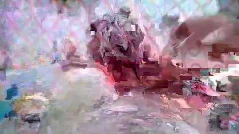 Huge dick online show from March 8, 2026, 5:28 pm