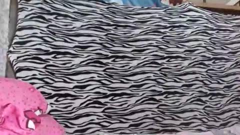 Snapshot of hugecockforyouxx chatting on October 19, 2025, 1:56 pm bella passwordshow 500tokens no time limit online show from October 19, 2025, 1:56 pm