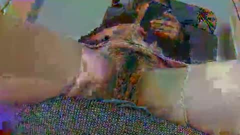 Snapshot of hujiajia520321431 chatting on November 10, 2025, 11:53 am hujiajia520321431 online show from November 10, 2025, 11:53 am