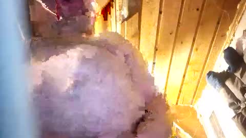 Snapshot of hung34u chatting on January 8, 2026, 6:16 am hung34u online show from January 8, 2026, 6:16 am