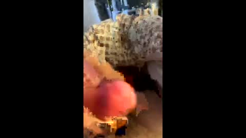 hungminer69 online show from April 12, 2026, 1:43 am