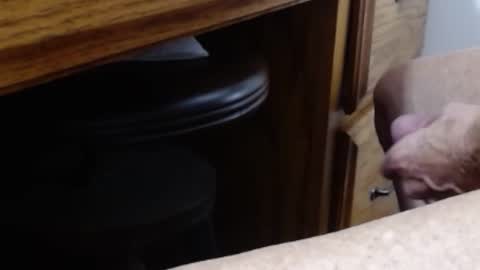 hungsofine online show from January 11, 2026, 7:30 pm