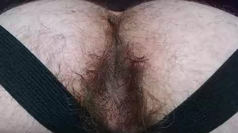 Snapshot of hunkytime chatting on July 8, 2026, 5:28 pm I AM NOT A DIRECTOR I AM THE BOSS KINGDADDYSIRSTR8ALPHAMASTER online show from July 8, 2026, 5:28 pm