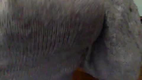 Snapshot of hunyybunz chatting on March 1, 2025, 10:10 pm Goddess Hunyy online show from March 1, 2025, 10:10 pm