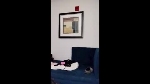 Snapshot of hydrakinglaser chatting on February 5, 2026, 2:05 am hydrakinglaser online show from February 5, 2026, 2:05 am