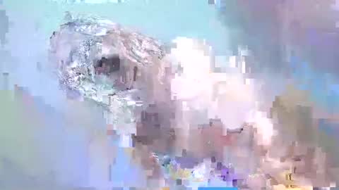 cant get you out of my head online show from February 15, 2025, 2:22 pm