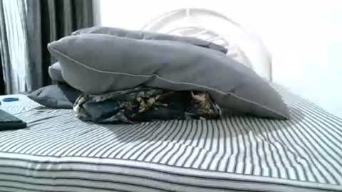 iam_mistress_dominatrix online show from April 18, 2026, 3:54 am