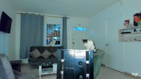 iam_your_fantasy online show from December 4, 2025, 12:09 am