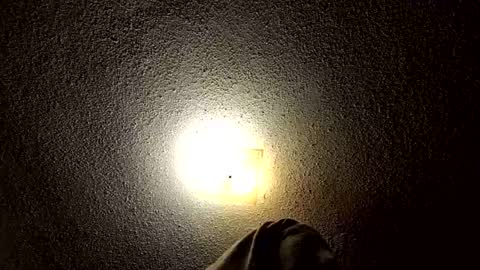 Snapshot of ibussbooties_007 chatting on March 14, 2026, 1:55 am ibussbooties_007 online show from March 14, 2026, 1:55 am