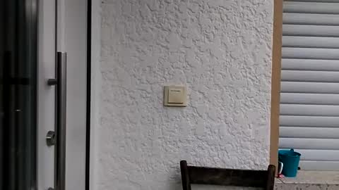 icheinfachich13 online show from October 21, 2025, 8:26 am