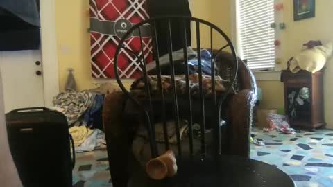 Snapshot of idksohorny chatting on December 20, 2024, 4:36 pm idksohorny online show from December 20, 2024, 4:36 pm