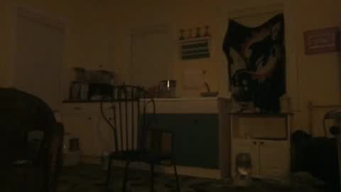 Snapshot of idksohorny chatting on December 21, 2024, 1:47 am idksohorny online show from December 21, 2024, 1:47 am