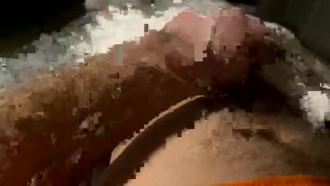 Tornado online show from February 6, 2026, 2:49 am