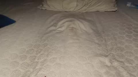 ilona4u online show from March 23, 2026, 9:08 pm