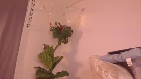 Snapshot of im__kaia chatting on January 9, 2026, 7:59 pm Kaia online show from January 9, 2026, 7:59 pm