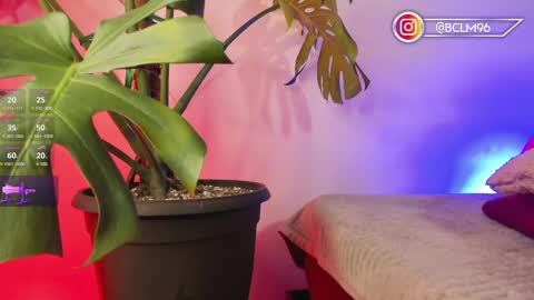 Bryan online show from February 12, 2025, 5:47 am