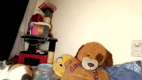 Snapshot of im_dereck_martinez_69 chatting on October 11, 2025, 6:01 am im_dereck_martinez_69 online show from October 11, 2025, 6:01 am