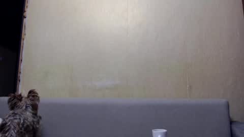 irina online show from January 6, 2026, 3:27 pm