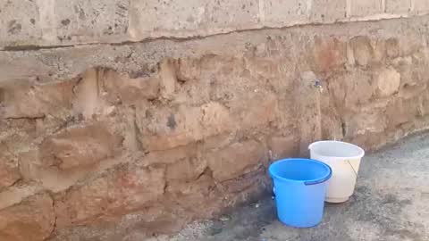 Snapshot of immissv chatting on December 1, 2025, 11:15 am immissv online show from December 1, 2025, 11:15 am