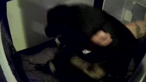 Snapshot of imtru chatting on February 14, 2025, 4:04 am imtru online show from February 14, 2025, 4:04 am