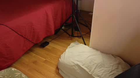 OTIS and MILIY online show from January 24, 2025, 6:25 pm