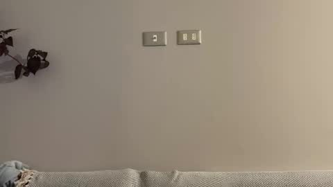 incognitolife online show from December 28, 2024, 3:04 am
