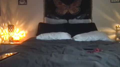 Snapshot of indigobay chatting on February 16, 2025, 7:26 am Indigo Bay online show from February 16, 2025, 7:26 am