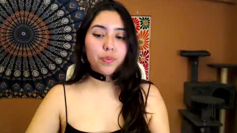 Snapshot of intimatetales chatting on February 27, 2025, 6:09 pm Africa online show from February 27, 2025, 6:09 pm