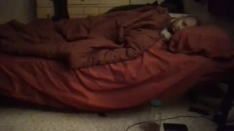 SexEngine88 online show from February 2, 2026, 12:42 am