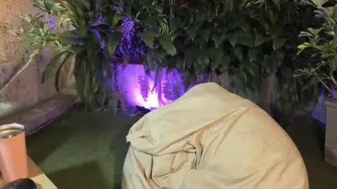 isabelastefano online show from October 4, 2025, 12:08 am