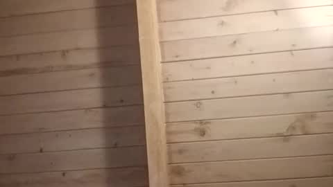 Isabella online show from March 20, 2026, 10:42 am