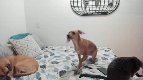 Snapshot of isabelprietoo chatting on December 27, 2024, 5:52 am Isa online show from December 27, 2024, 5:52 am