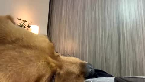 Snapshot of isabelprietoo chatting on October 7, 2025, 1:47 am Isa online show from October 7, 2025, 1:47 am