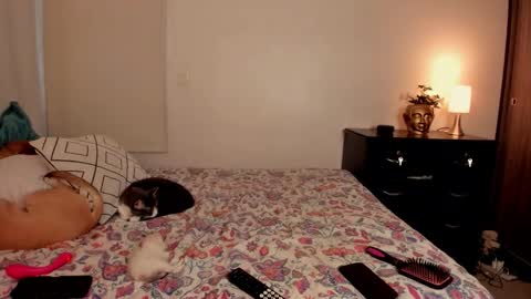 Snapshot of isabelprietoo chatting on October 31, 2025, 10:00 pm Isa online show from October 31, 2025, 10:00 pm