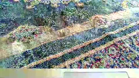 Snapshot of its_me_2323 chatting on October 5, 2025, 7:28 am its_me_2323 online show from October 5, 2025, 7:28 am