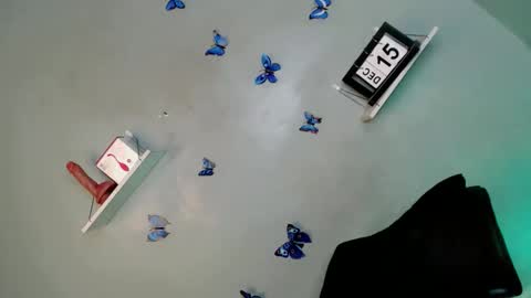 Bella online show from December 15, 2025, 5:34 am