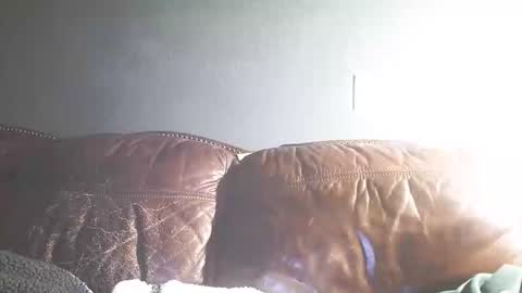 Snapshot of itstunechi chatting on February 15, 2025, 7:27 am itstunechi online show from February 15, 2025, 7:27 am