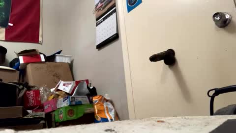 IvoryCum online show from January 14, 2026, 1:33 am