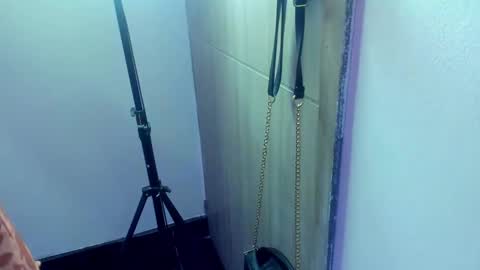 Snapshot of ivy__taylorr chatting on February 4, 2025, 11:27 pm Diana Rojas online show from February 4, 2025, 11:27 pm