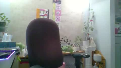 Snapshot of ivyjane3522 chatting on April 25, 2026, 11:46 am ivyjane3522 online show from April 25, 2026, 11:46 am