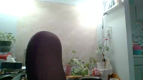 Snapshot of ivyjane3522 chatting on May 7, 2026, 2:00 pm ivyjane3522 online show from May 7, 2026, 2:00 pm