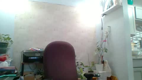 Snapshot of ivyjane3522 chatting on May 20, 2026, 12:44 pm ivyjane3522 online show from May 20, 2026, 12:44 pm
